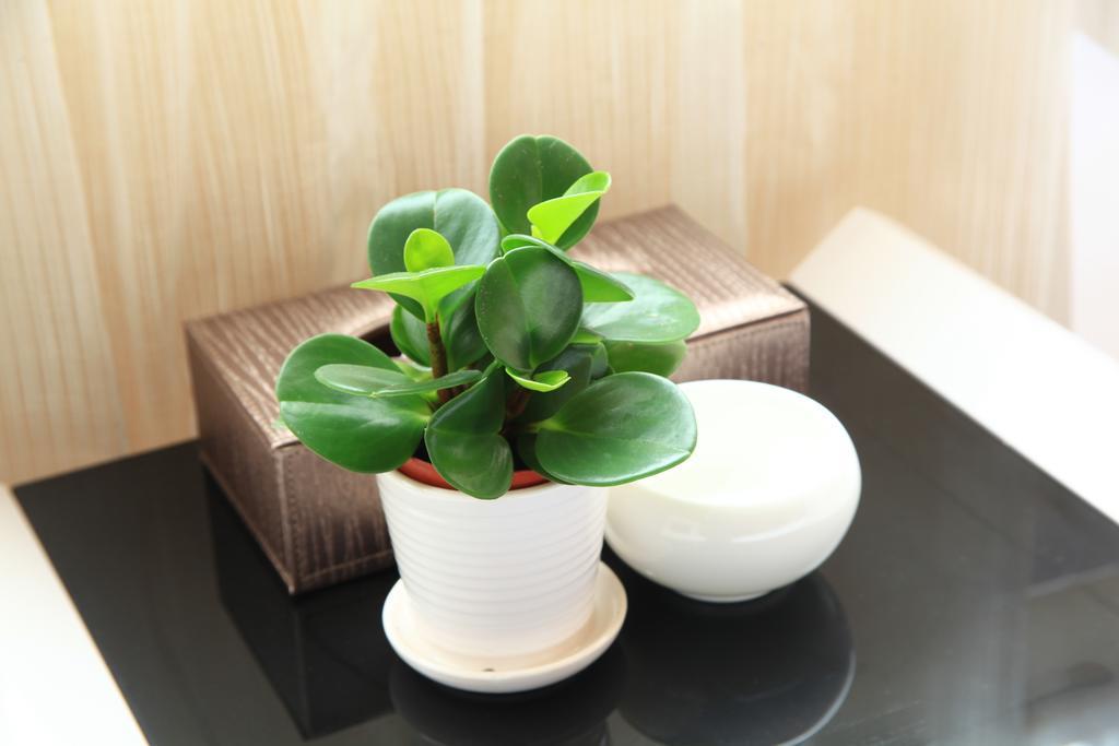 Shang Yuan Hotel Guangzhou Bilik gambar